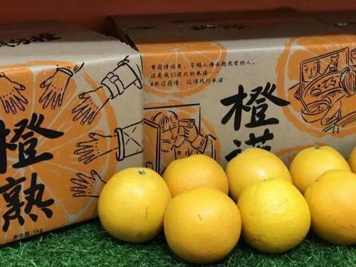 火出圈 富川脐橙获 最受新零售欢迎地标产品奖
