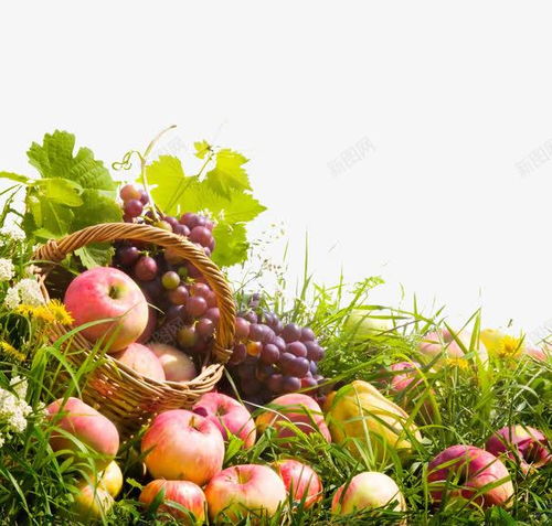 新鲜的蔬菜水果篮 食材 元素 免抠png 设计图片 免费下载 页面网页 平面电商 创意素材 水果堆素材